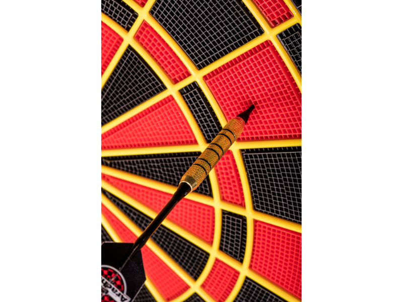 Arachnid Cricket Pro 670 Electronic Dartboard's Playfield