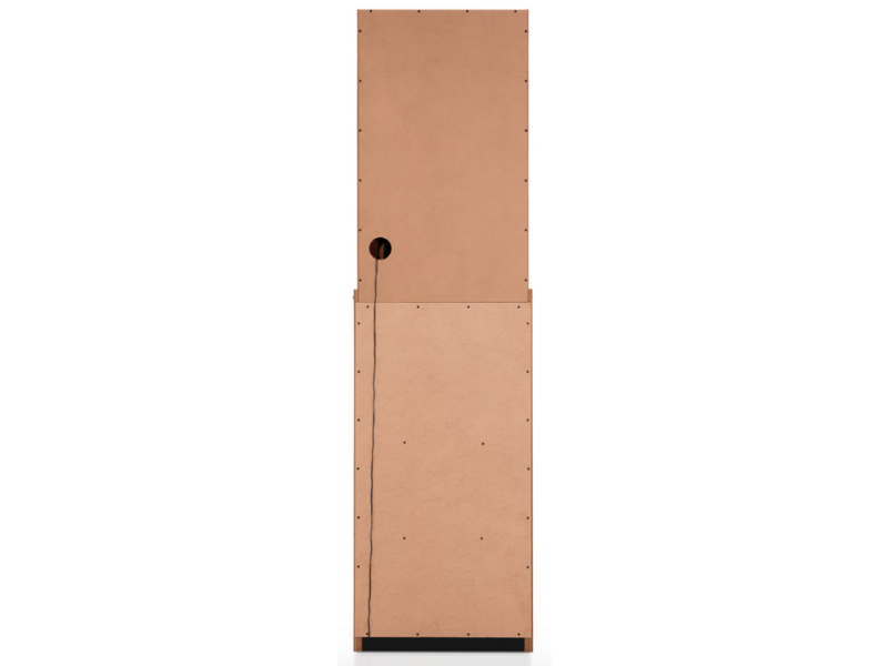Arachnid Cricket Pro 800 Standing Electronic Dartboard's Back View