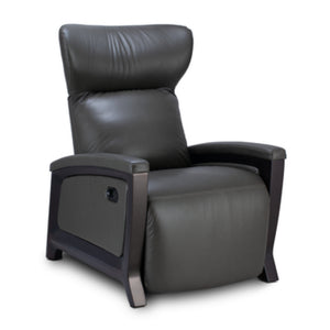 Svago Motion Mastery Zero Gravity Recliner X1 in Gray - Game Room Spot