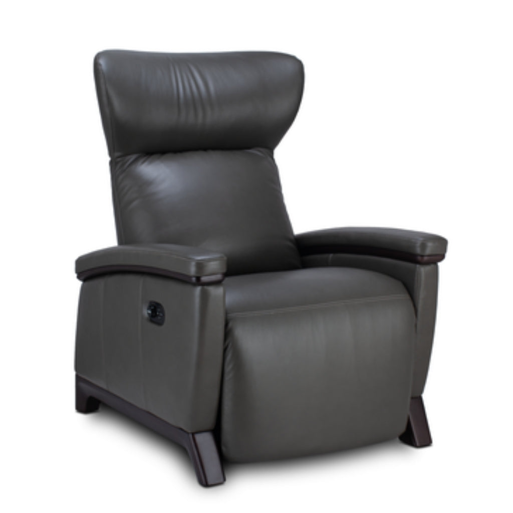 Svago Motion Mastery Zero Gravity Recliner X2 in Gray - Game Room Spot