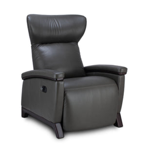Svago Motion Mastery Zero Gravity Recliner X2 in Gray - Game Room Spot