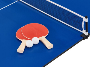 Imperial The Esterno Outdoor Table Tennis Top's Free Accessories