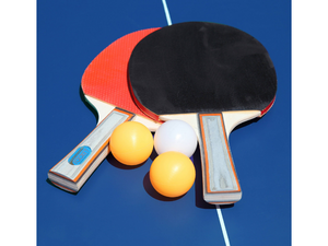 Hathaway Back Stop 18mm Table Tennis Table's Free Accessories