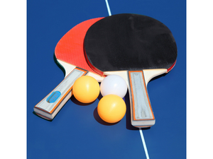 Hathaway Victory Professional 25mm Table Tennis Table's Free Accessories